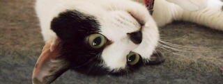 20120804_2333786.jpg