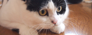 20120804_2333787.jpg