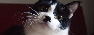 20120804_2333788.jpg