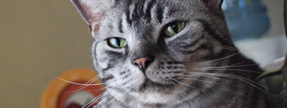 20120819_2345440.jpg