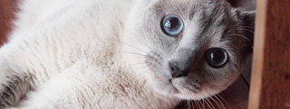 20120901_2356988.jpg