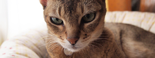 20120901_2356989.jpg