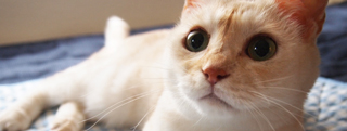 20120901_2356990.jpg