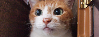 20120915_24473.jpg