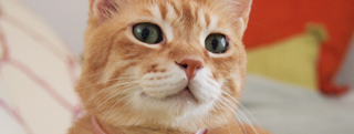 20120915_24474.jpg
