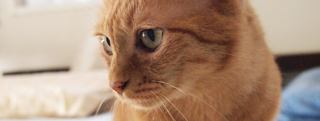20120915_24475.jpg