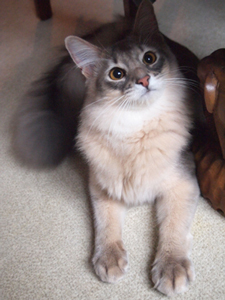 PC303471.jpg