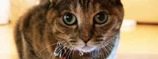 20121014_102160.jpg