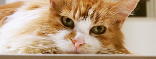 20121014_102162.jpg