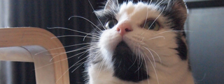 20121017_111946.jpg