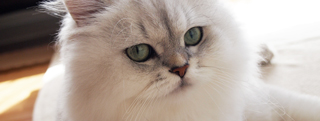 20121017_111947.jpg