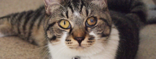 20121017_111948.jpg