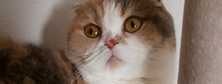 20121101_154121.jpg