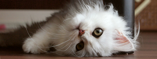 20121101_154122.jpg