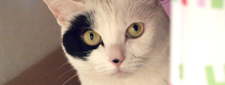 20121116_196486.jpg