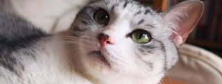 20121116_196487.jpg