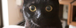 20121116_196488.jpg