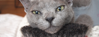 20121203_241462.jpg