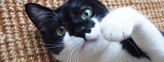 20121203_241463.jpg