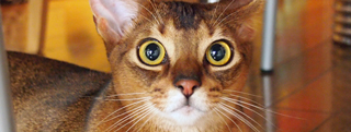 20121203_241464.jpg