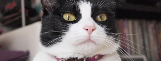 20121218_279102.jpg
