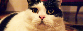 20130101_313699.jpg