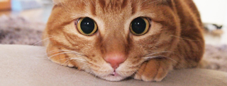 20130117_347921.jpg