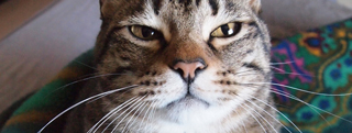 20130117_347922.jpg