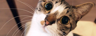 20130117_347923.jpg