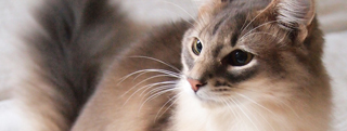 20130201_383628.jpg
