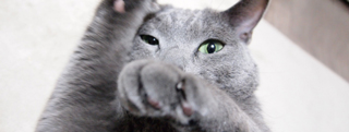 20130201_383629.jpg