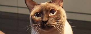 20130201_383630.jpg