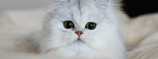 20130216_418692.jpg