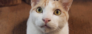 20130216_418693.jpg