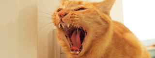 20130216_418694.jpg