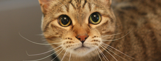 20130228_447478.jpg