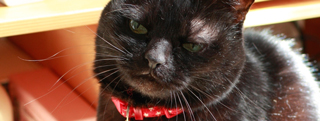 20130228_447479.jpg
