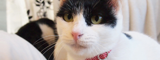 20130228_447480.jpg