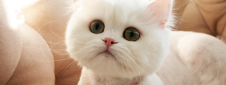 20130316_482746.jpg