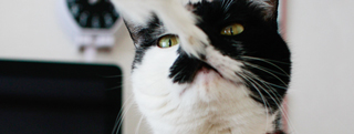 20130316_482747.jpg