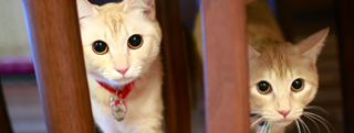 20130402_523607.jpg