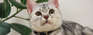 20130402_523608.jpg