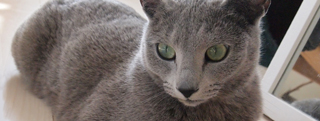 20130402_523609.jpg
