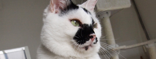 20130415_554788.jpg