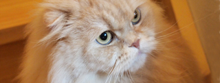 20130415_554789.jpg