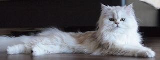 20130502_594581.jpg