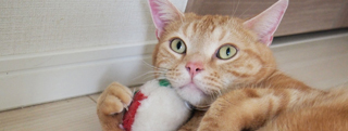 20130502_594582.jpg
