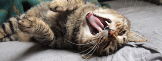 20130502_594583.jpg