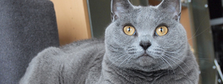 20130516_628039.jpg