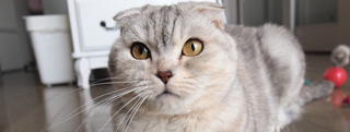 20130516_628040.jpg